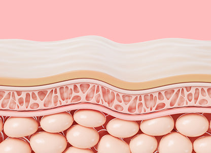 Pour celles et ceux qui luttent contre un surpoids important et recherchent une solution complète