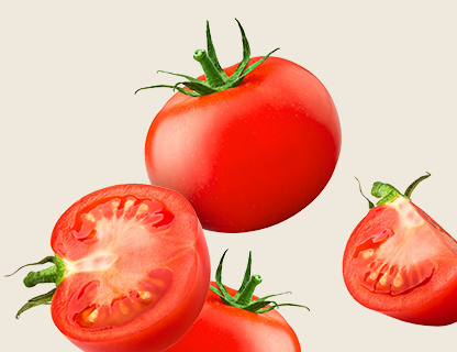 LYCOPÈNE – EXTRAIT DE TOMATE - LYCOPERSICON ESCULENTUM