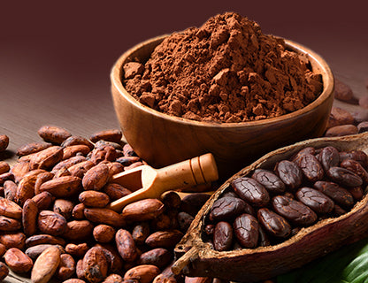 Poudre de cacao à faible teneur en matières grasses