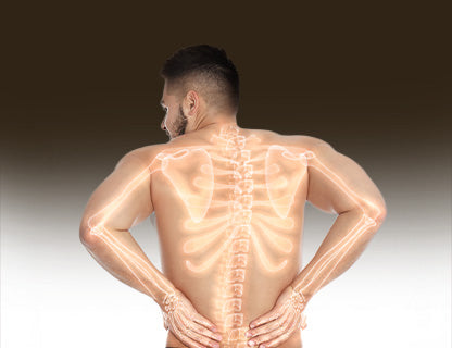 ... il soutient les processus de ton organisme