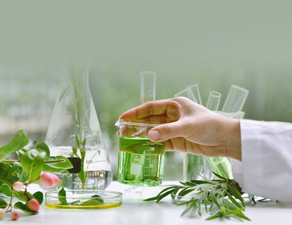 Étudiée dans le monde entier