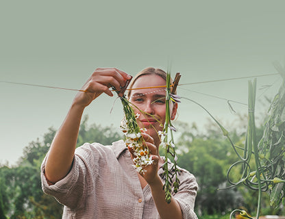 Un pont entre les cultures