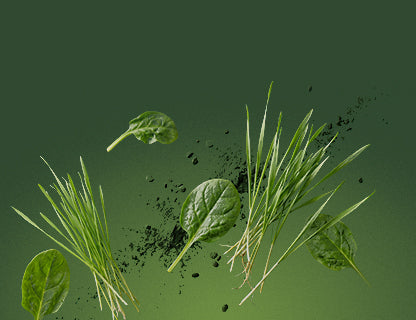 De nombreux superaliments