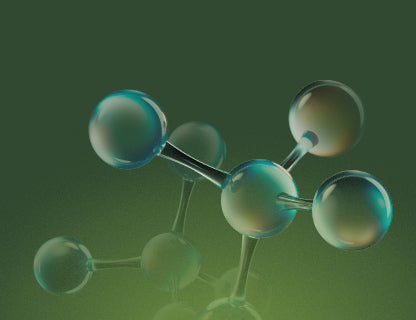Vitamines B bioactives