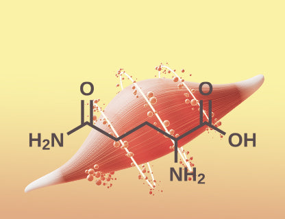 Glutamine