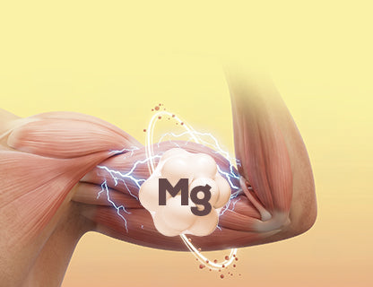 Bisglycinate de magnésium organique