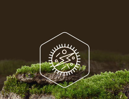 Chlorure de nicotinamide-riboside, source d’énergie pour les cellules