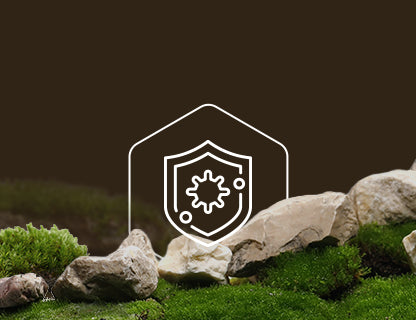 Sélénium, le bouclier immunitaire