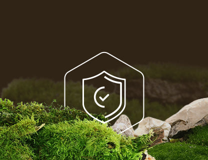 L-glutathion, le bouclier intérieur