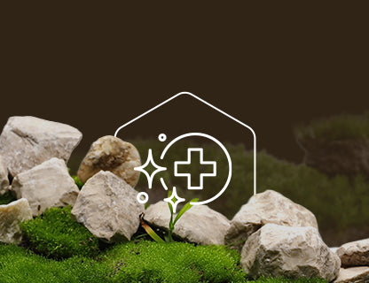 Trans-resvératrol, la puissance des polyphénols