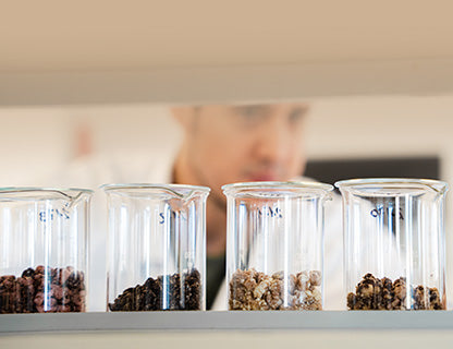 Tu recherches une composition harmonieuse