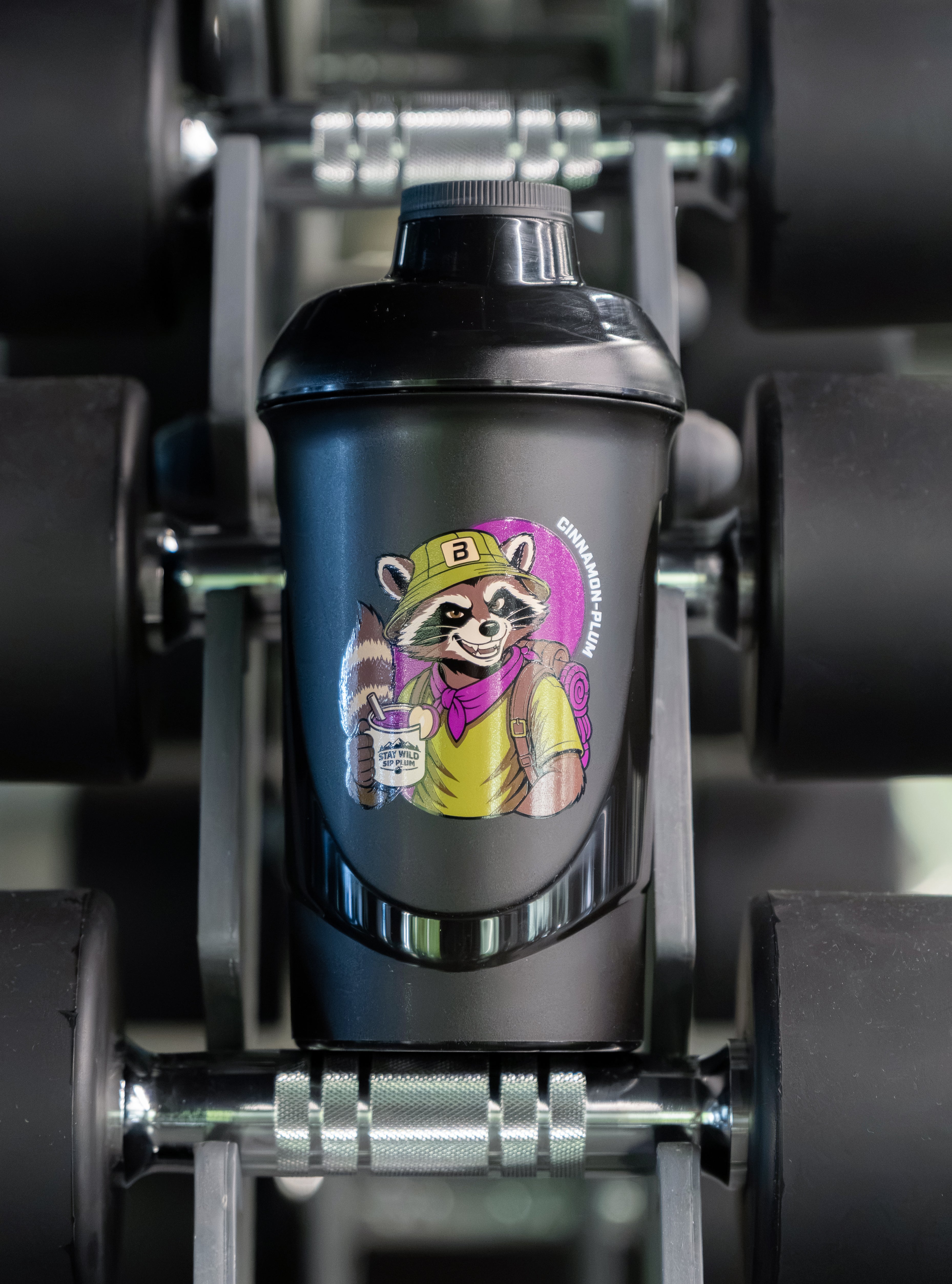 Shaker de collection en édition limitée (Cannelle - Prune) - 600 ml